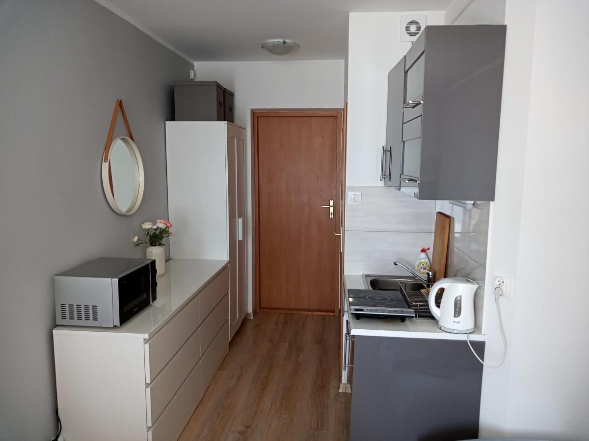 Apartament U Muzykow Krynica Morska Exterior photo